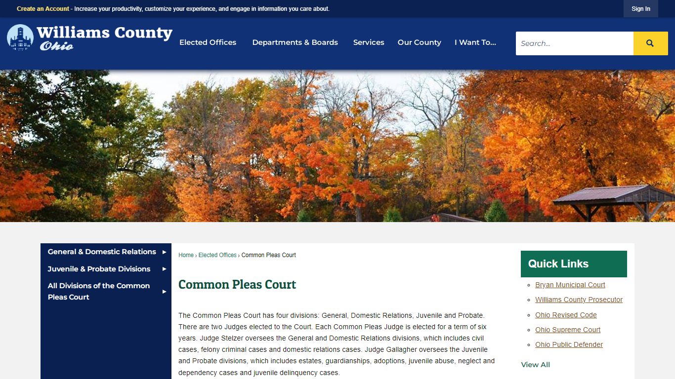 Common Pleas Court | Williams County, OH